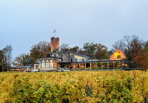 Burg Schwarzenstein - Restaurant & Hotel, Hochzeitslocation Geisenheim-Johannisberg, Kontaktbild